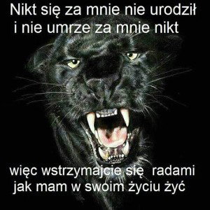polska władza