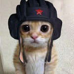 main
crew star