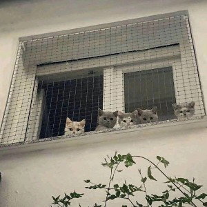 Для Крошки