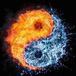 Phoenix Psy44