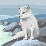 ARCTIC KIDD