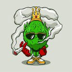 main
crew star