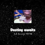 Lil Scorp NVM 6