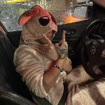main
crew star