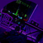 main
crew star