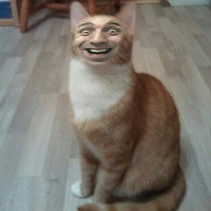 ziggi jones2