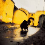 HardTrip_official