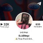DJ Jay Dingz