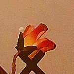 SomeGhost2C