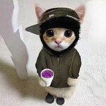 Lil TwiZ
