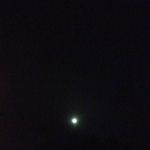 Zlo_16-54
