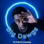 N.A.Bmoneybag