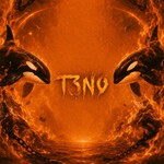 T3N0