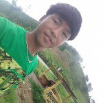 main
crew star