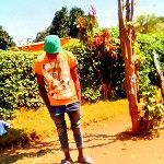 main
crew star