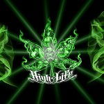 main
crew star