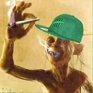 lotsi diss #1