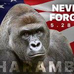 Yung Harambe