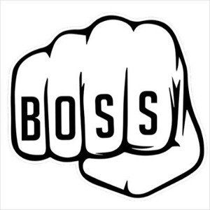 Boss ulic. 