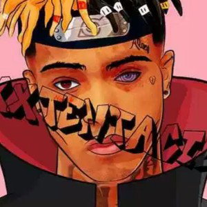 Pink _21-11