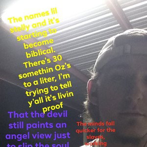 no hate