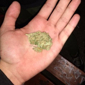 ICE
