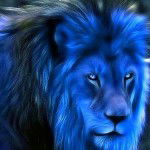 TheUnknownLion
