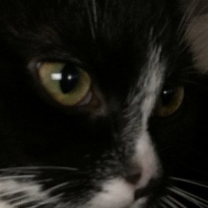 Ninja_13:46