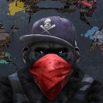 main
crew star