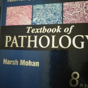 game kahani