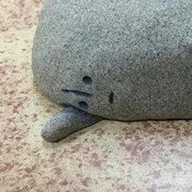 Ill Support You