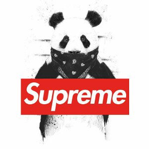 donniegang 