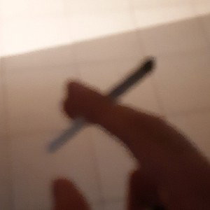 la società