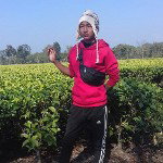 main
crew star