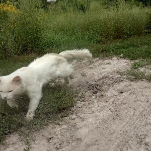 Свежесть главный критерий