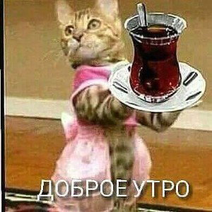 Retro_23-11