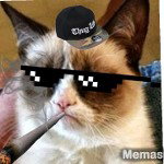 main
crew star
