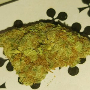 Billy_21-04
