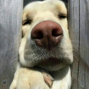 life is hard