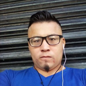 dise 
