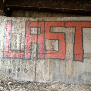 Leña al fuego "Last" y "Lion" track (freestyle)