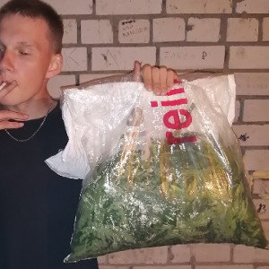дубль эн