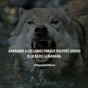 mejorando mas 🔥🔥🐺💜