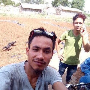 gaulaeng