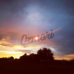 Not Okay Official