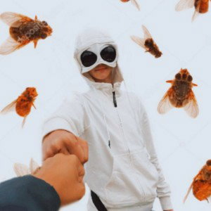 Танцы на костях
