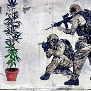 vive libérate disfruta el tiempo