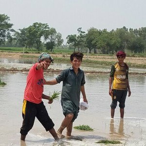 zubair khan