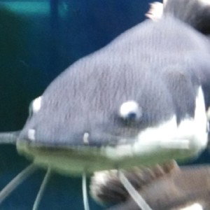 уй