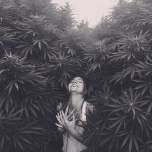 MADNESS (16:14)